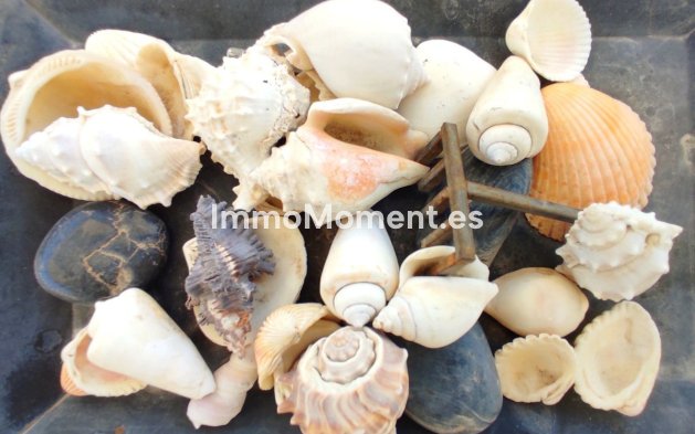 Revente - Villa - Intérieur                       - Coín