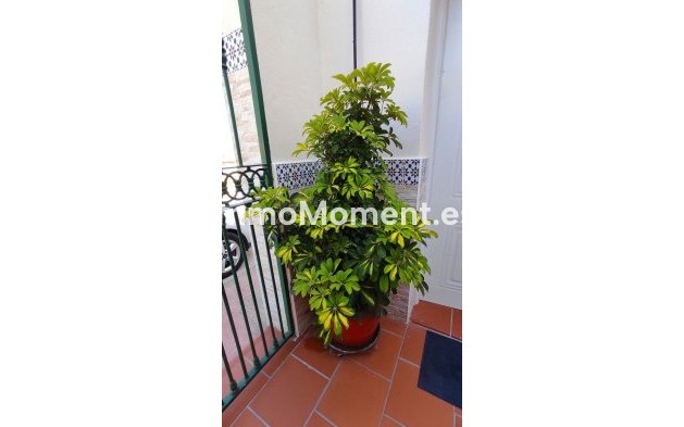 Revente - Villa - Intérieur                       - Coín