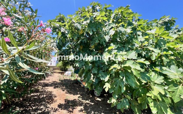 Bestaande woning - Villa - Estepona  - Estepona Centro