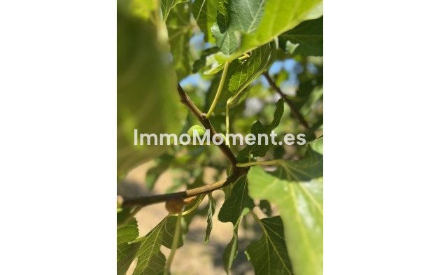 Bestaande woning - Villa - Estepona  - Estepona Centro