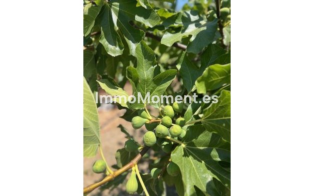 Bestaande woning - Villa - Estepona  - Estepona Centro