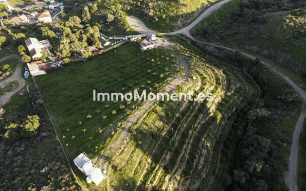Obra nueva - Terreno - Mijas - Mijas Centro