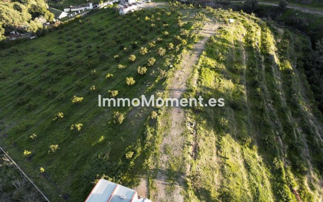 Obra nueva - Terreno - Mijas - Mijas Centro