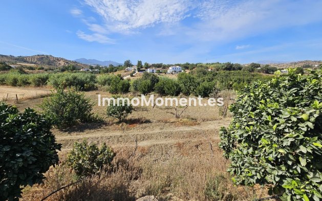 Revente - Maison de campagne - Intérieur                       - Coín