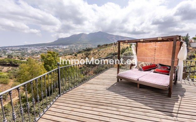 Revente - Maison de campagne - Intérieur                       - Alhaurín el Grande Centro