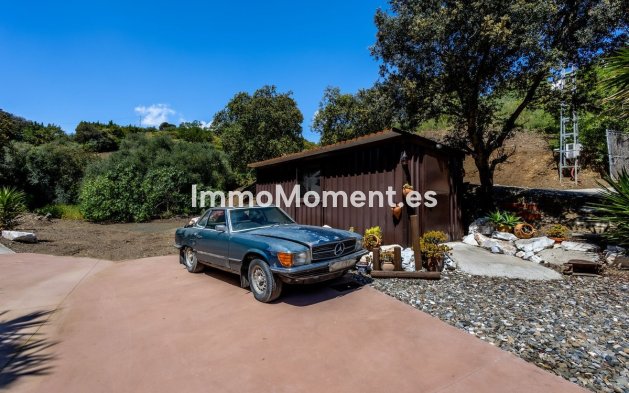 Revente - Maison de campagne - Intérieur                       - Alhaurín el Grande Centro
