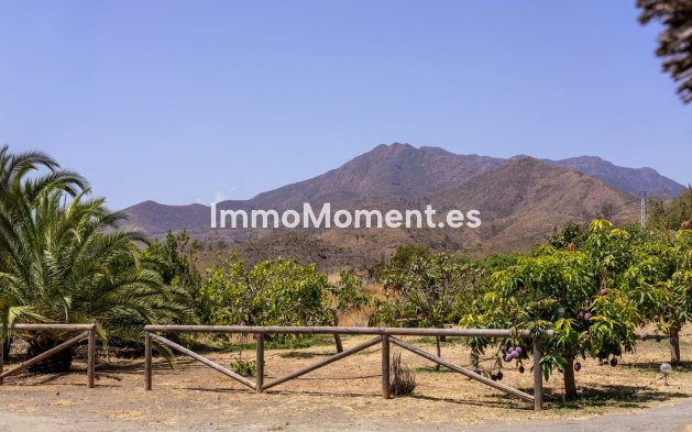 Revente - Villa - Intérieur                       - Alhaurín el Grande Centro