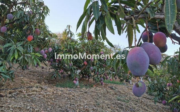 Revente - Villa - Intérieur                       - Alhaurín el Grande Centro