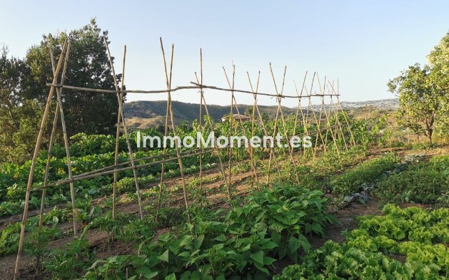 Revente - Villa - Intérieur                       - Alhaurín el Grande Centro