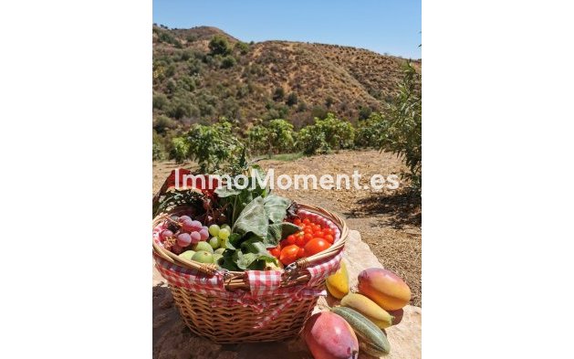 Revente - Villa - Intérieur                       - Alhaurín el Grande Centro
