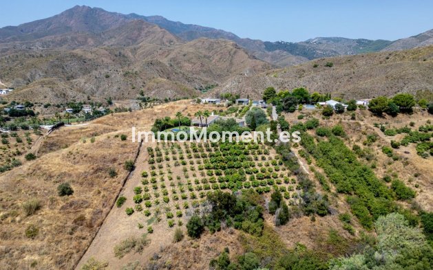 Revente - Villa - Intérieur                       - Alhaurín el Grande Centro