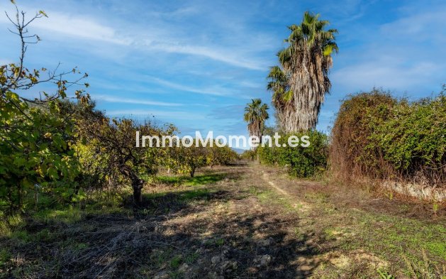 Revente - Maison de campagne - Intérieur                       - Cártama Centro