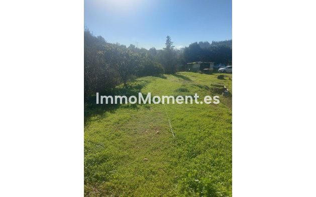 Revente - Maison de campagne - Estepona  - Estepona Centro