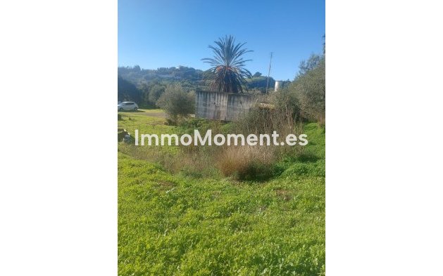 Revente - Maison de campagne - Estepona  - Estepona Centro