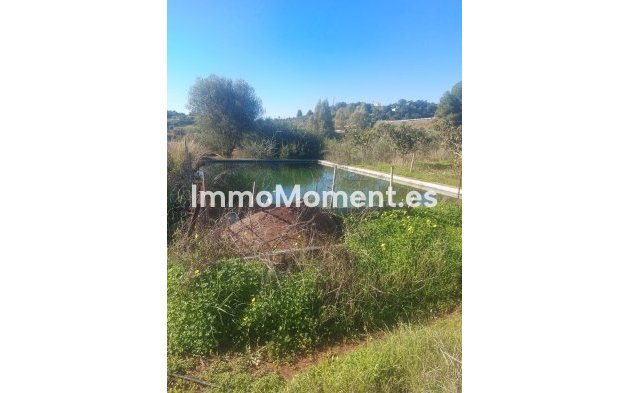 Revente - Maison de campagne - Estepona  - Estepona Centro