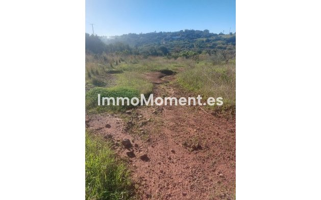 Revente - Maison de campagne - Estepona  - Estepona Centro