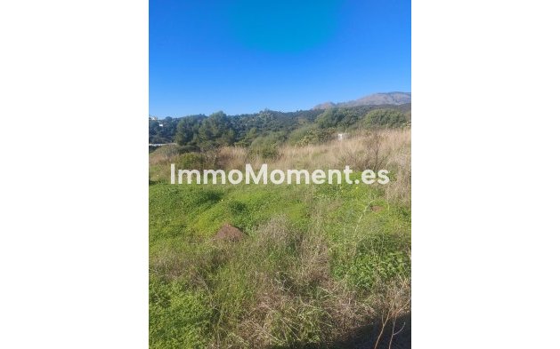 Revente - Maison de campagne - Estepona  - Estepona Centro