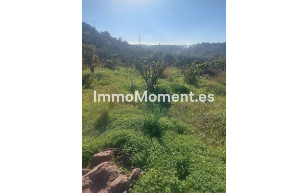 Revente - Maison de campagne - Estepona  - Estepona Centro