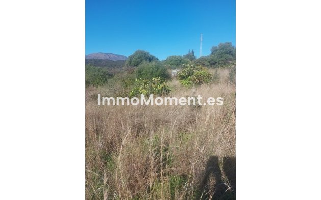 Revente - Maison de campagne - Estepona  - Estepona Centro