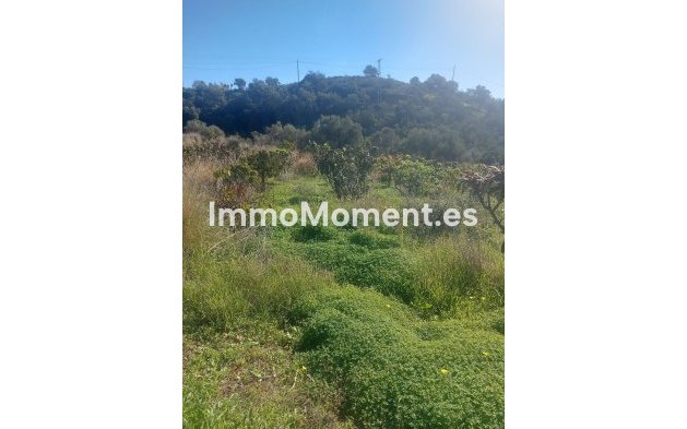 Revente - Maison de campagne - Estepona  - Estepona Centro