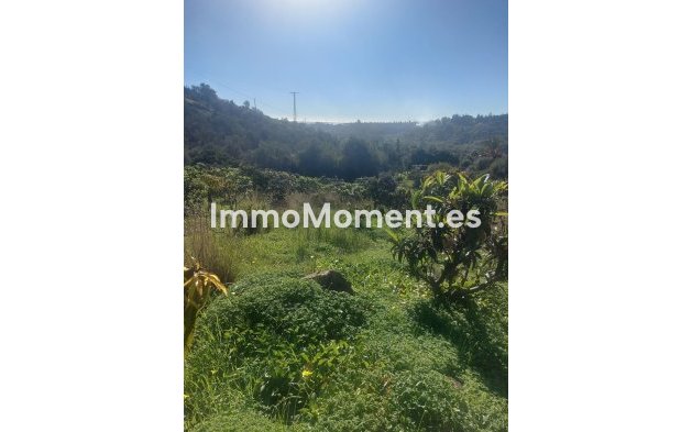 Revente - Maison de campagne - Estepona  - Estepona Centro