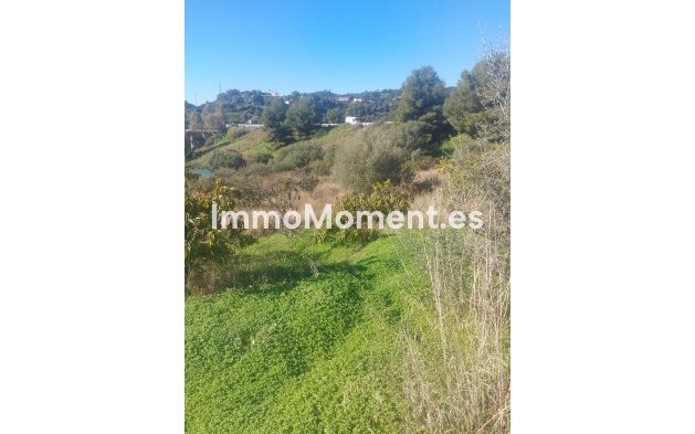 Revente - Maison de campagne - Estepona  - Estepona Centro