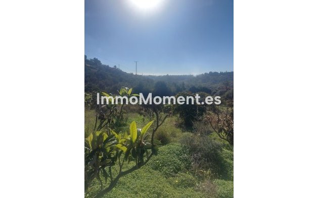 Revente - Maison de campagne - Estepona  - Estepona Centro