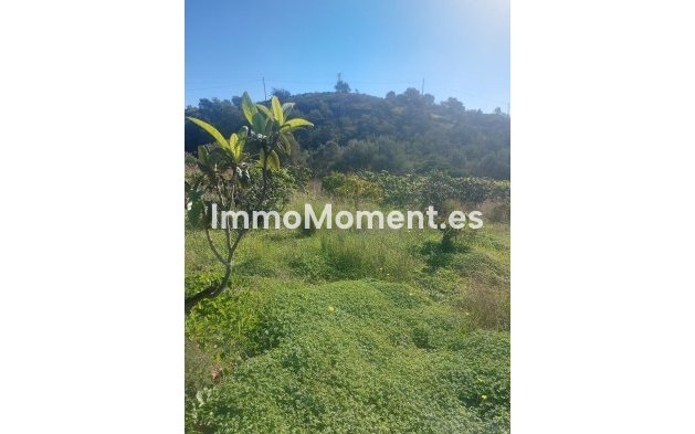 Revente - Maison de campagne - Estepona  - Estepona Centro