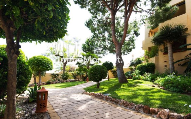 Bestaande woning - Appartement - Benalmadena - Benalmadena Centro