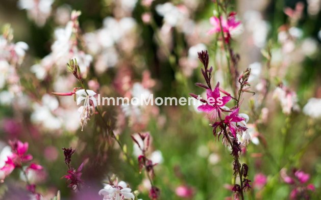 Bestaande woning - Appartement - Benalmadena - Benalmadena Centro