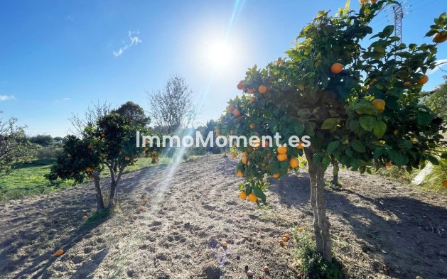 Revente - Villa - Calpe - Calpe Centro