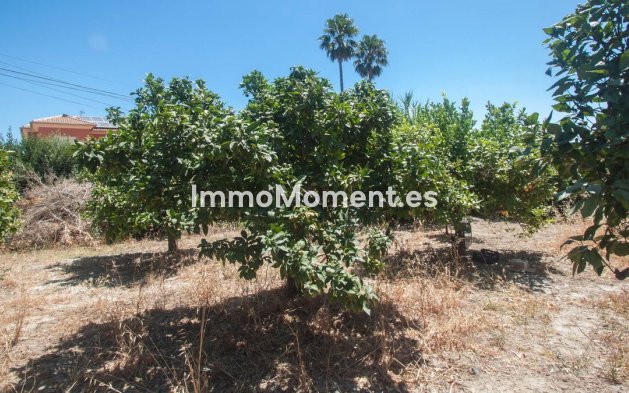 Wiederverkauf - Villa - Estepona  - Estepona Centro