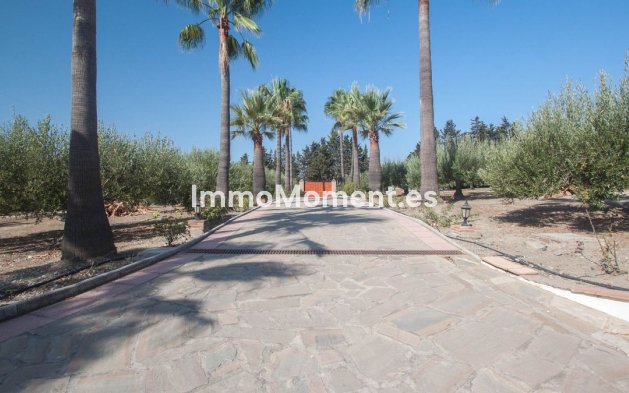 Reventa - Casa de campo - Estepona  - Estepona Centro