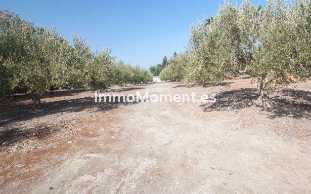 Reventa - Casa de campo - Estepona  - Estepona Centro