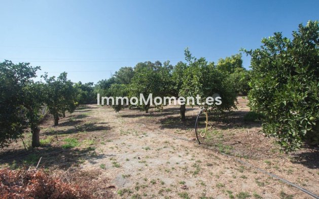 Reventa - Casa de campo - Estepona  - Estepona Centro