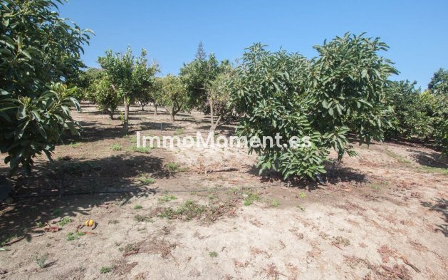 Reventa - Casa de campo - Estepona  - Estepona Centro