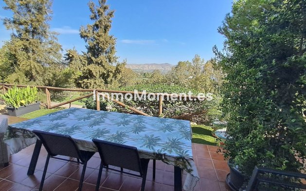 Revente - Maison mitoyenne - Intérieur                       - Lauro Golf