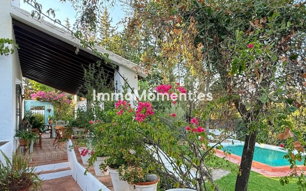 Revente - Maison de campagne - Intérieur                       - Alora