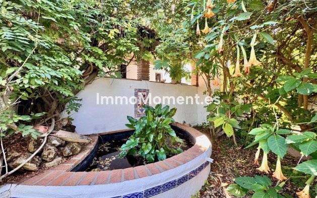 Revente - Maison de campagne - Intérieur                       - Coín