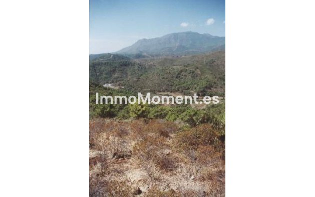 Resale - Country house - Estepona - Estepona Centro