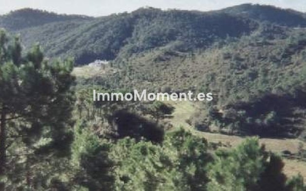 Resale - Country house - Estepona - Estepona Centro