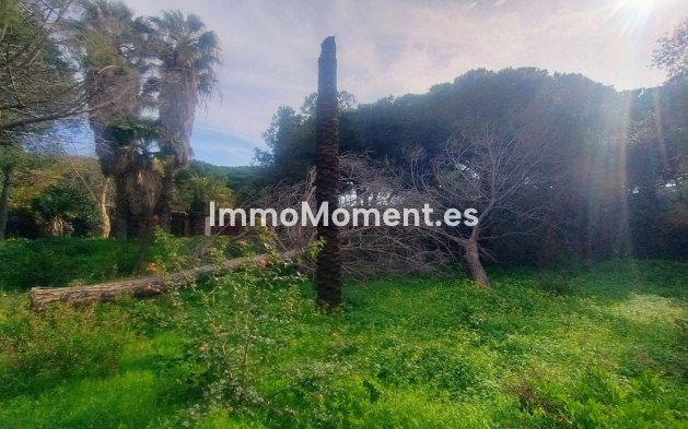 Bestaande woning - Grond - Marbella - Hacienda Las Chapas