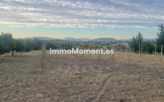 Revente - Villa - Intérieur                       - Alhaurín el Grande Centro