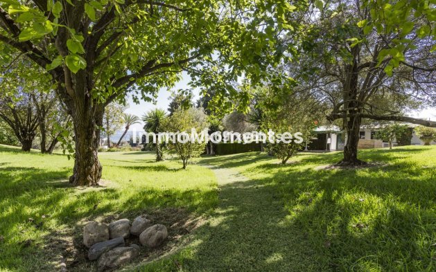 Reventa - Apartamento - Marbella - Río Real