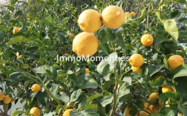 Wiederverkauf - Villa - Alfaz del Pi - L'Alfás del Pi Centro