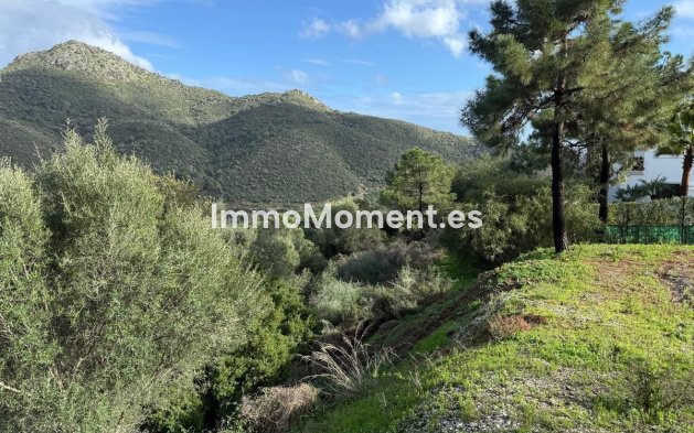 Bestaande woning - Grond - Benahavís - Benahavís Centro