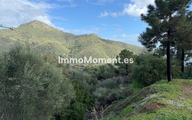 Bestaande woning - Grond - Benahavís - Benahavís Centro