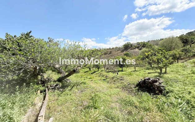 Reventa - Casa de campo - Interior  - Coín