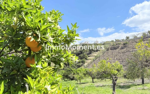 Reventa - Casa de campo - Interior  - Coín