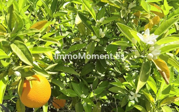 Reventa - Casa de campo - Interior  - Coín